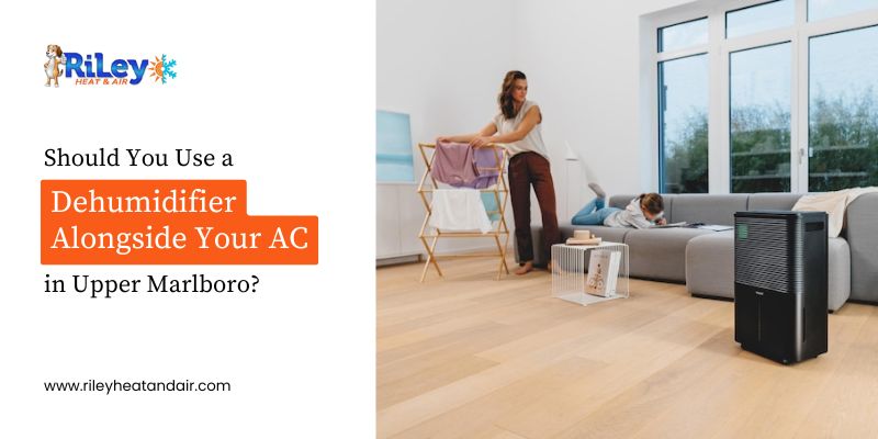 Dehumidifier Alongside Your AC - Riley Heat & Air